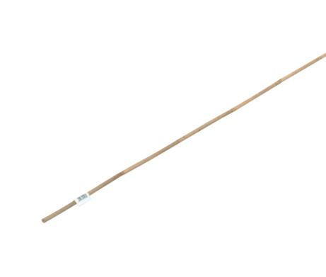 Bambusstab 150 cm Ø ca. 1 cm