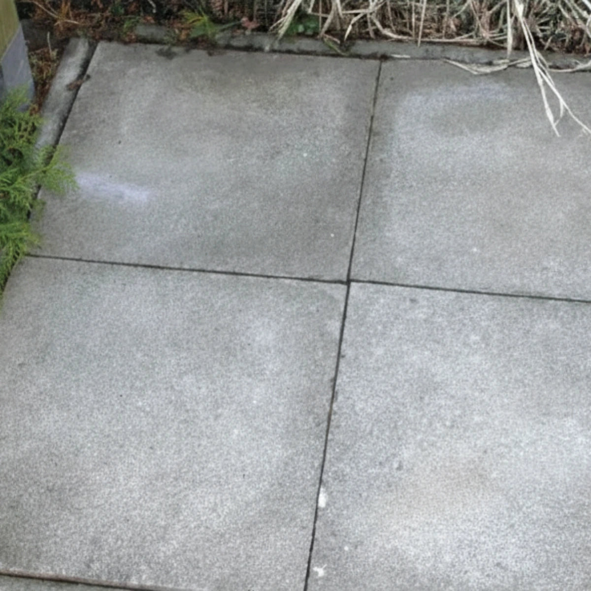 beko TecLine Grünbelagentferner Konzentrat 1 l Flasche – Reiniger gegen Algen und Flechten