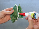 beko Allbond-Set 1 x 10 g Allbond-Fluid 1 x 30 ml Allbond-Spray Aktivator-Spray