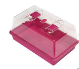 Zimmergewächshaus 38 x 24 x 12,5 cm, Fuchsia